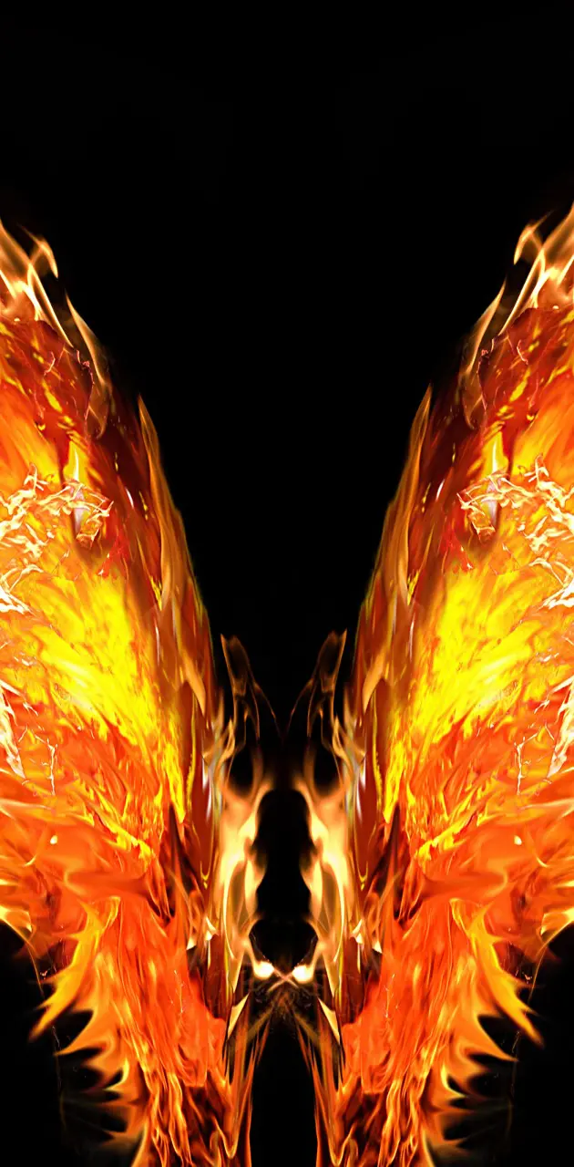 Fire   Wings