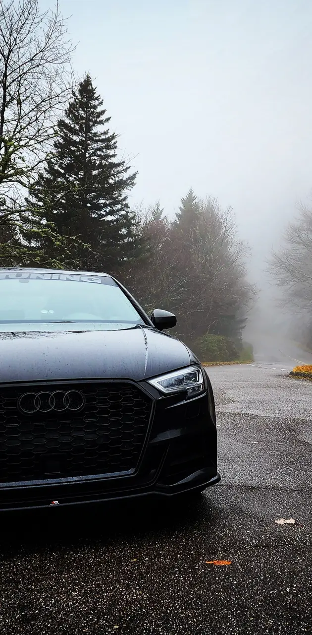 Audi on Road 