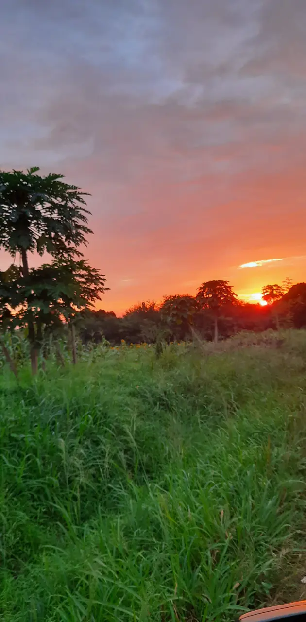 East Africa Sunset 