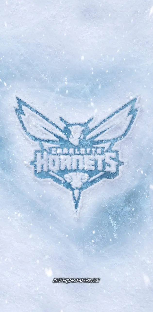 Charlotte Hornets