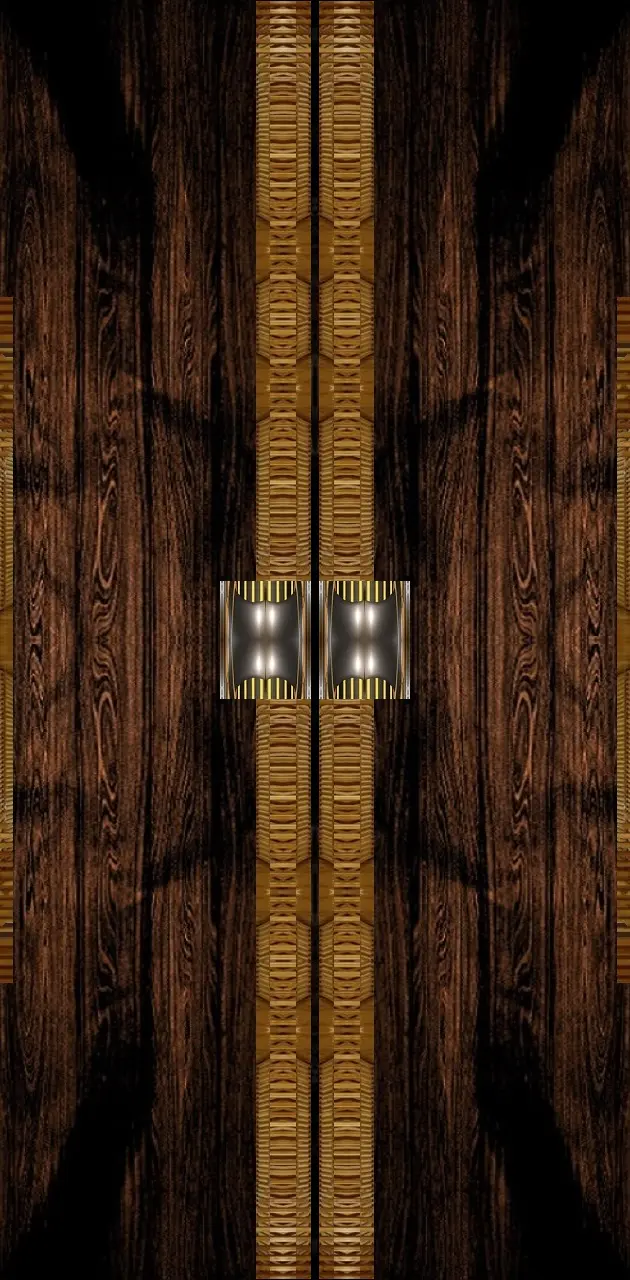 Modern Door 2