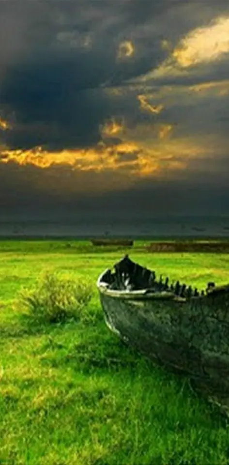 Boat In A Field