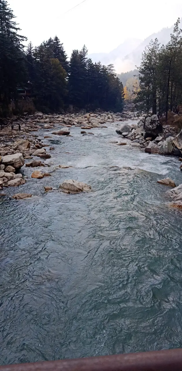 Parvati river