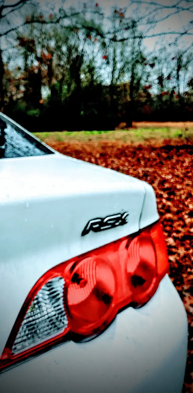 RSX hiding fall