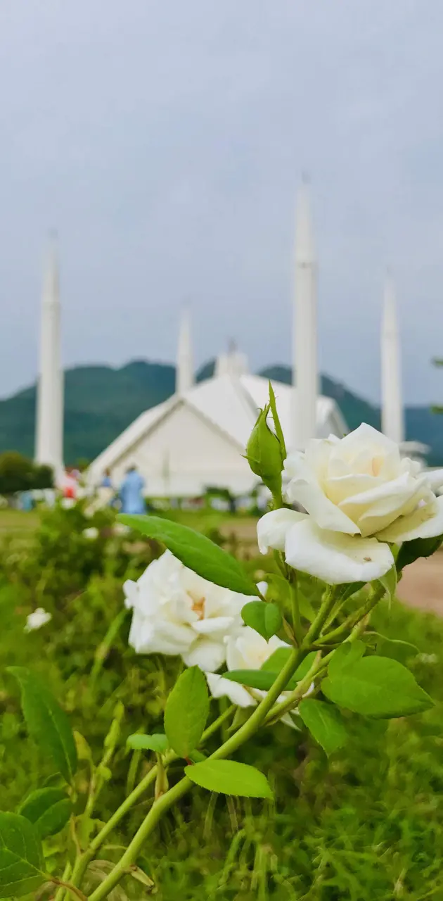 Nature islamabad