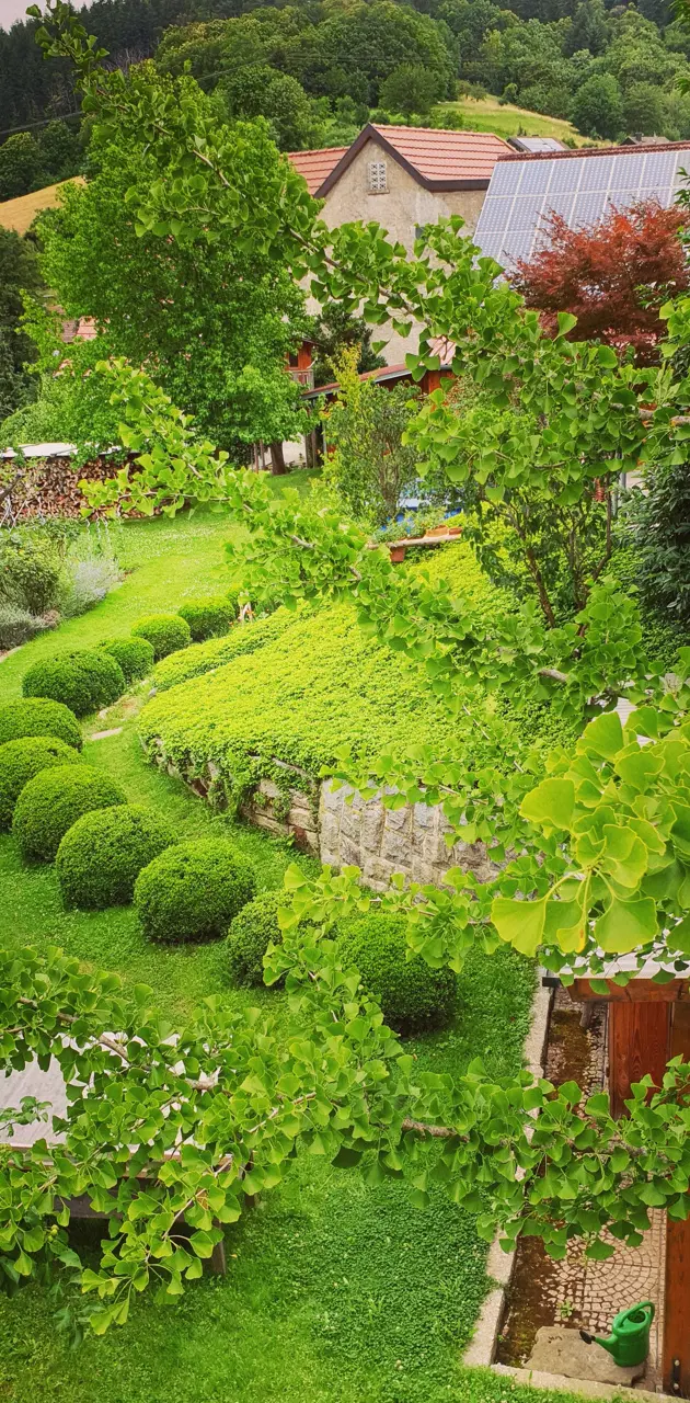 Beautiful garden 