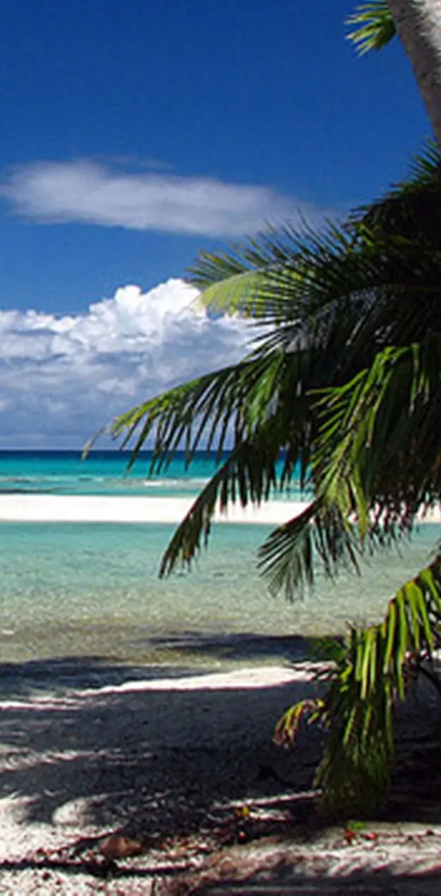 Polynesia Beach