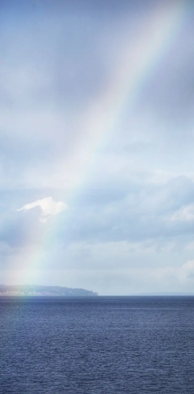 Puget Sound Rainbow