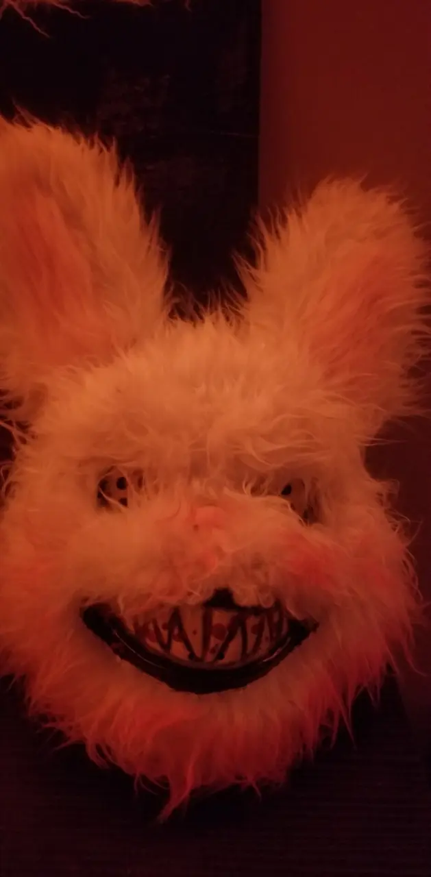 Scary bunny