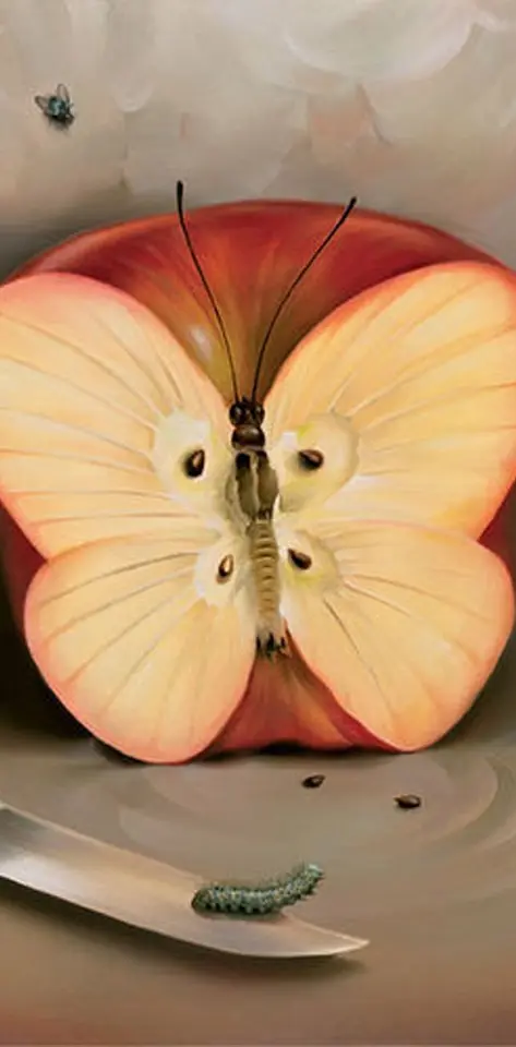 Apple And Butterfly
