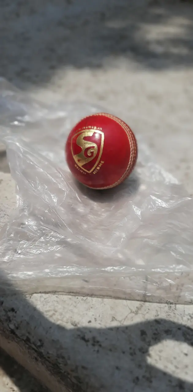 Cricket ball 2 