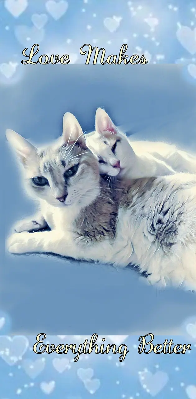 Love Makes... Kitties