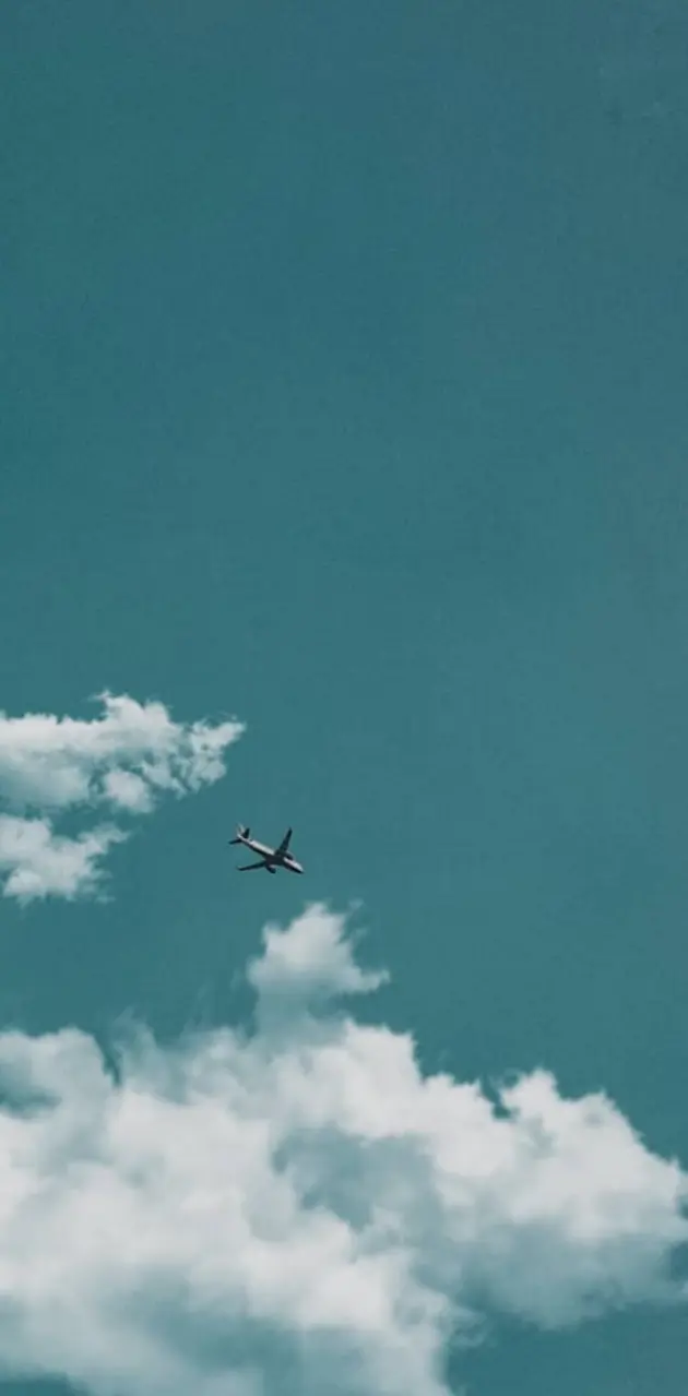 Plane and sky