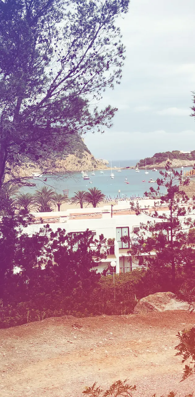 Ibiza San Miguel