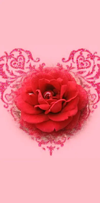 Pink Heart Rose