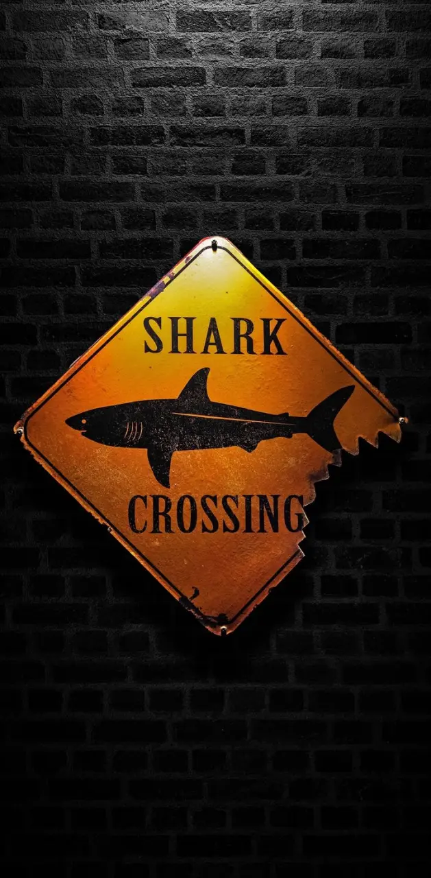 Shark crossing