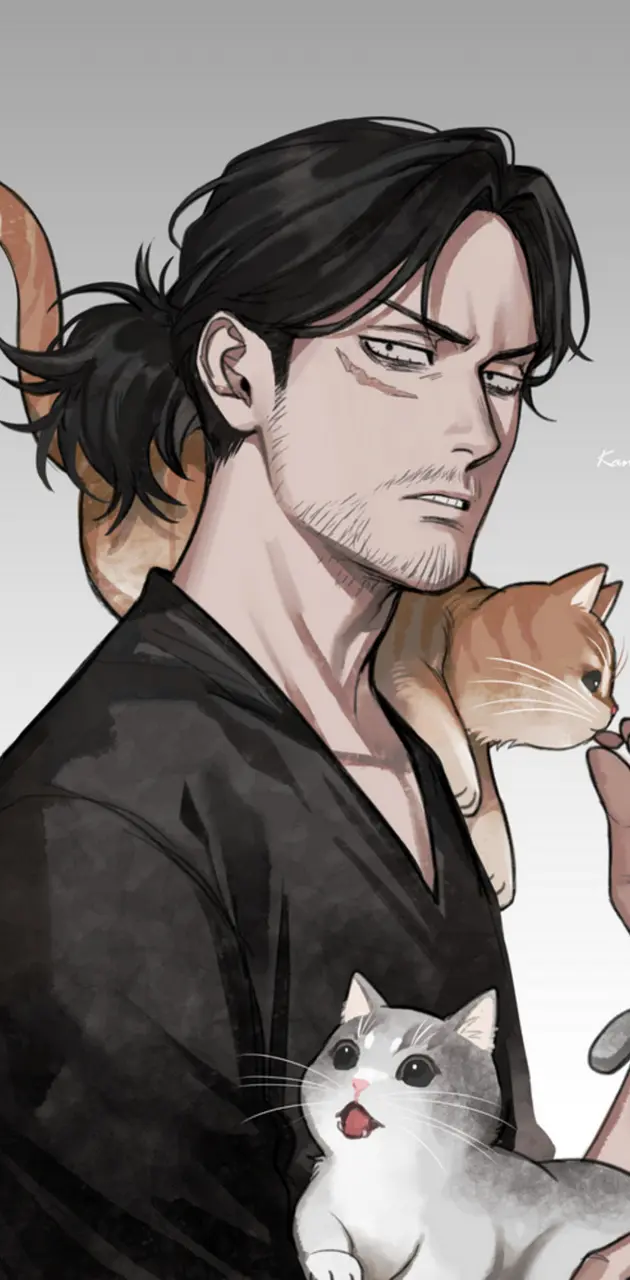 Aizawa and cats