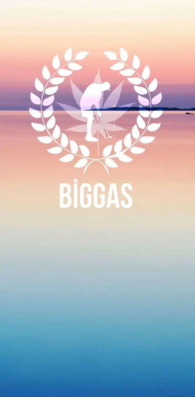 Biggas29