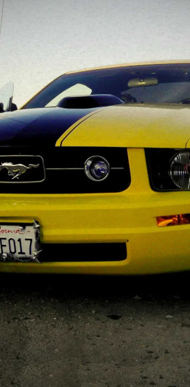 Mustang Gtcar