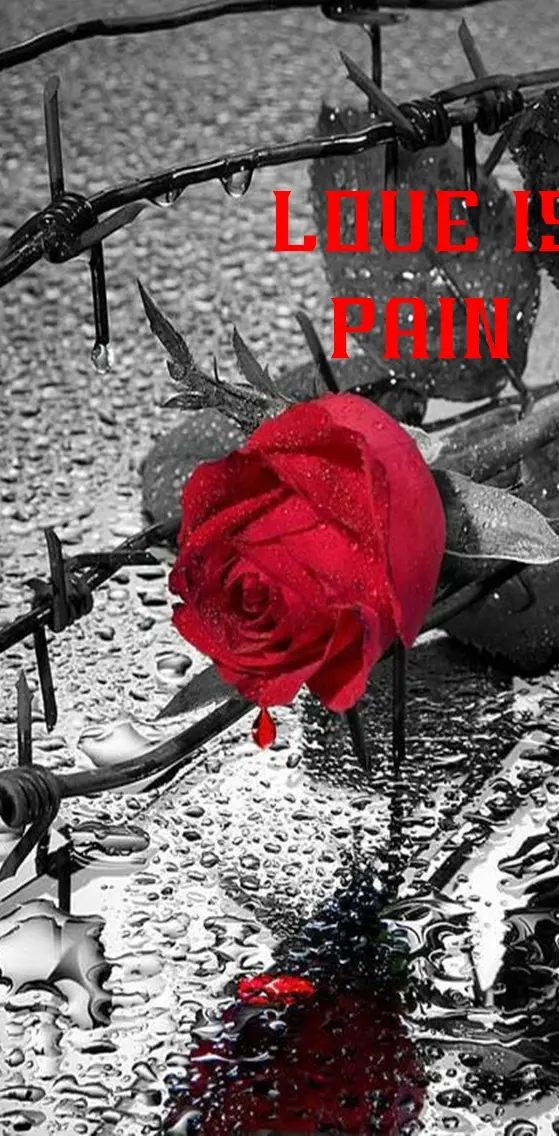 Love Is Pain