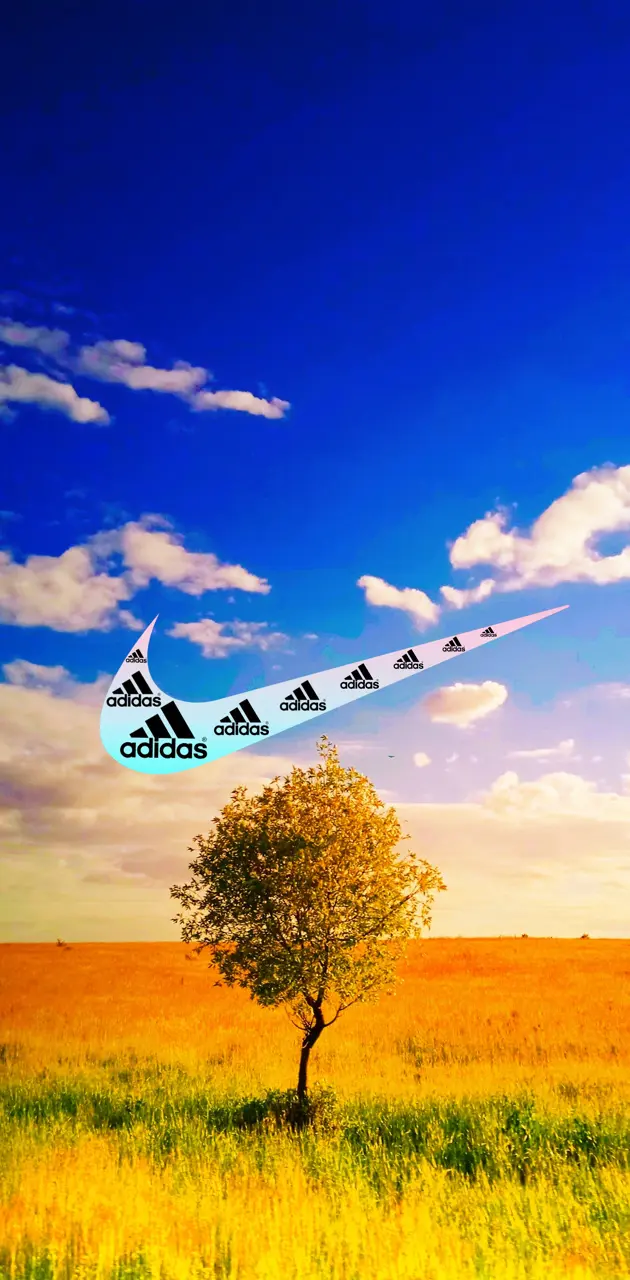 Adidas and Nike