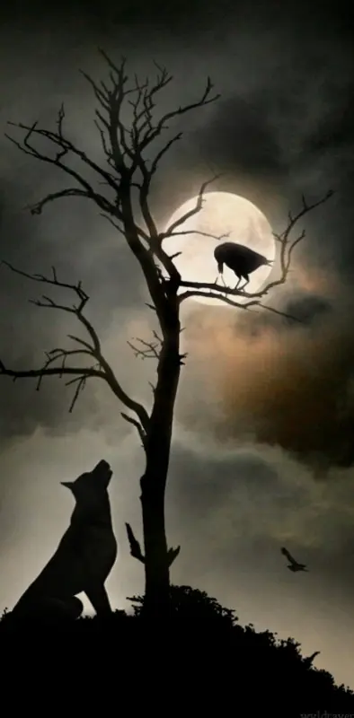 Wolf And Crow