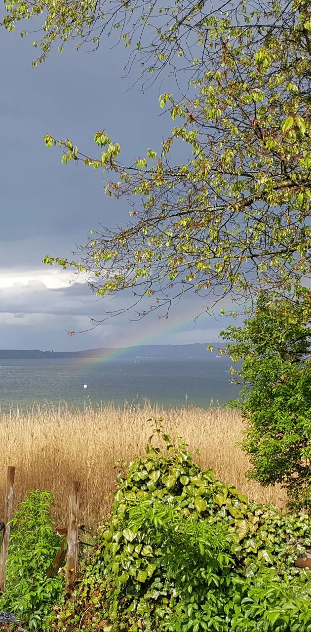 Rainbow in Ammersee