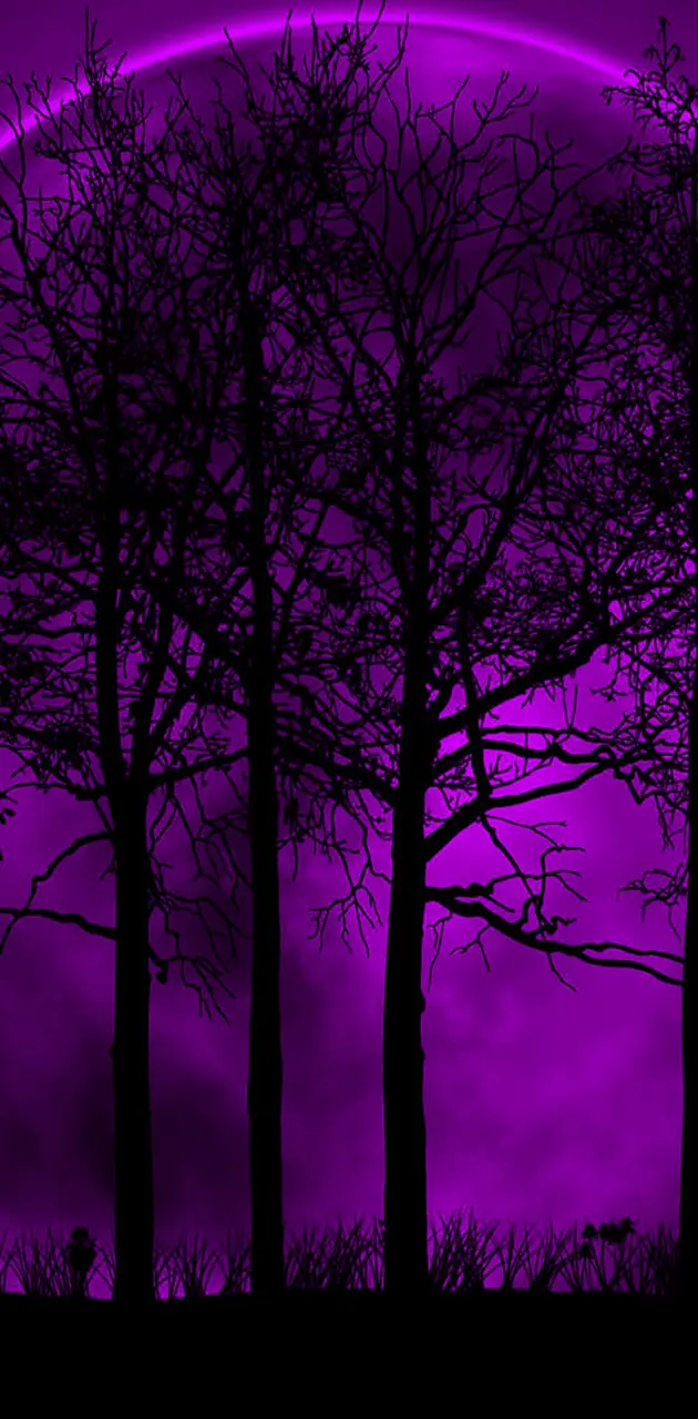 Purple moon wallpaper by dashti33 - Download on ZEDGE™ | 6b21