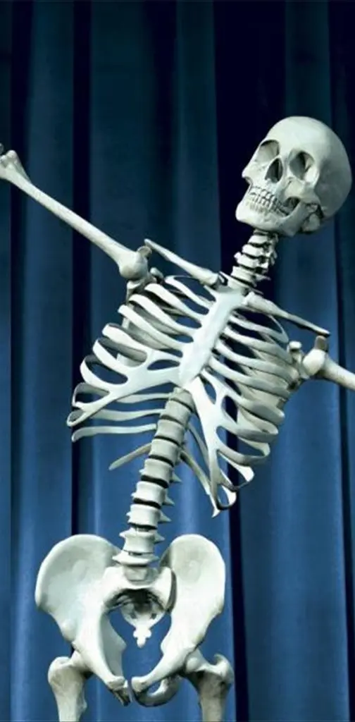 Skeleton Dancer