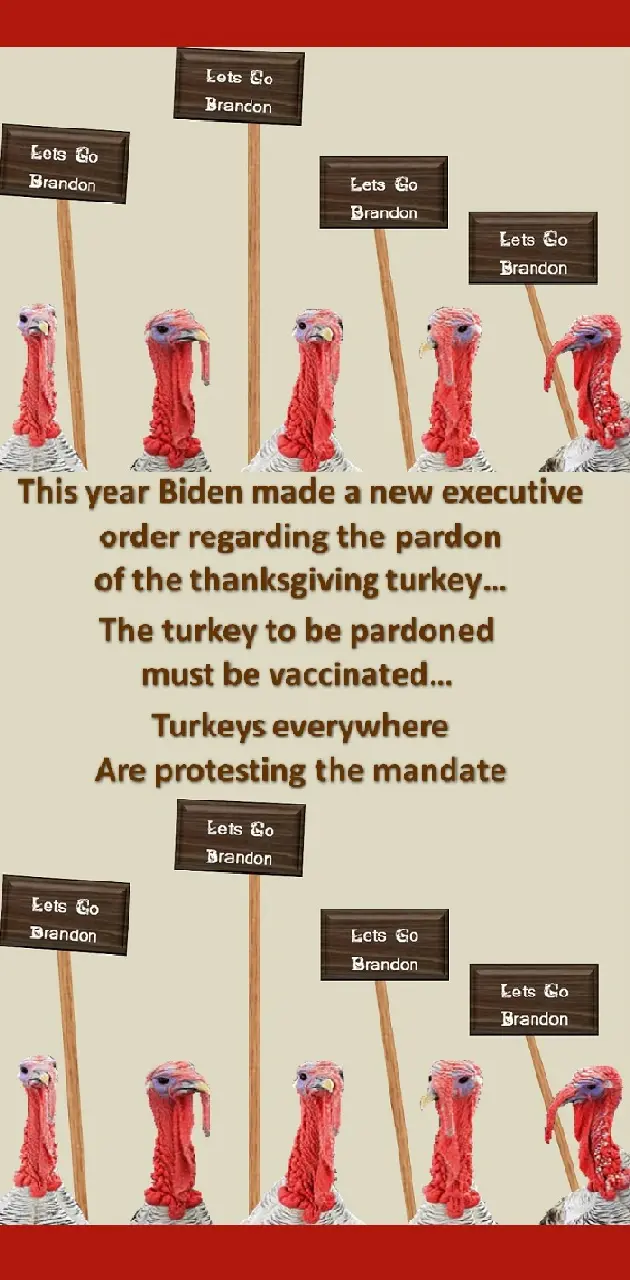 protesting turkeys
