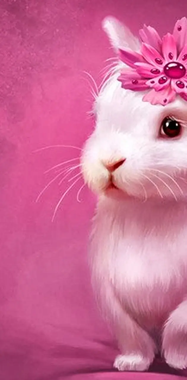 Pinky bunny