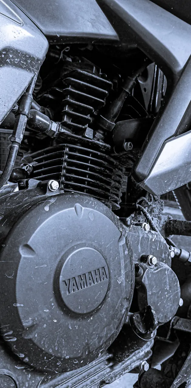 Yamaha ,FZSV3,BIKE