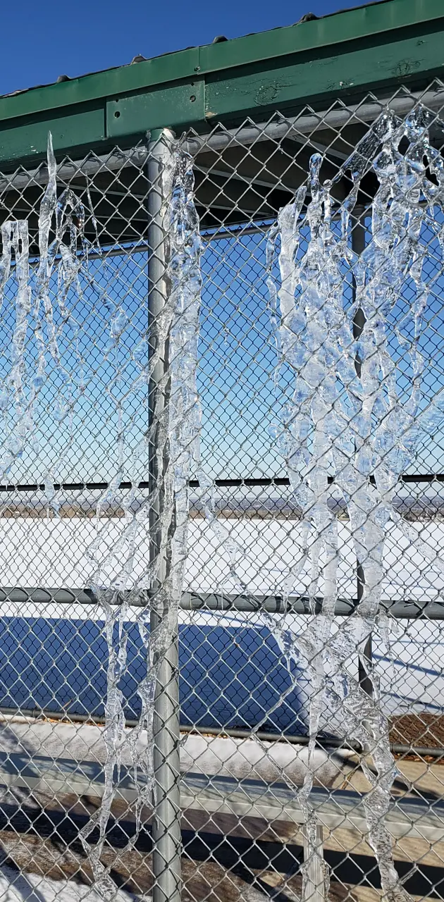 Iced Fence