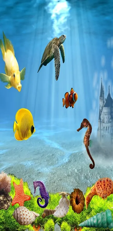 3d Underwater Life