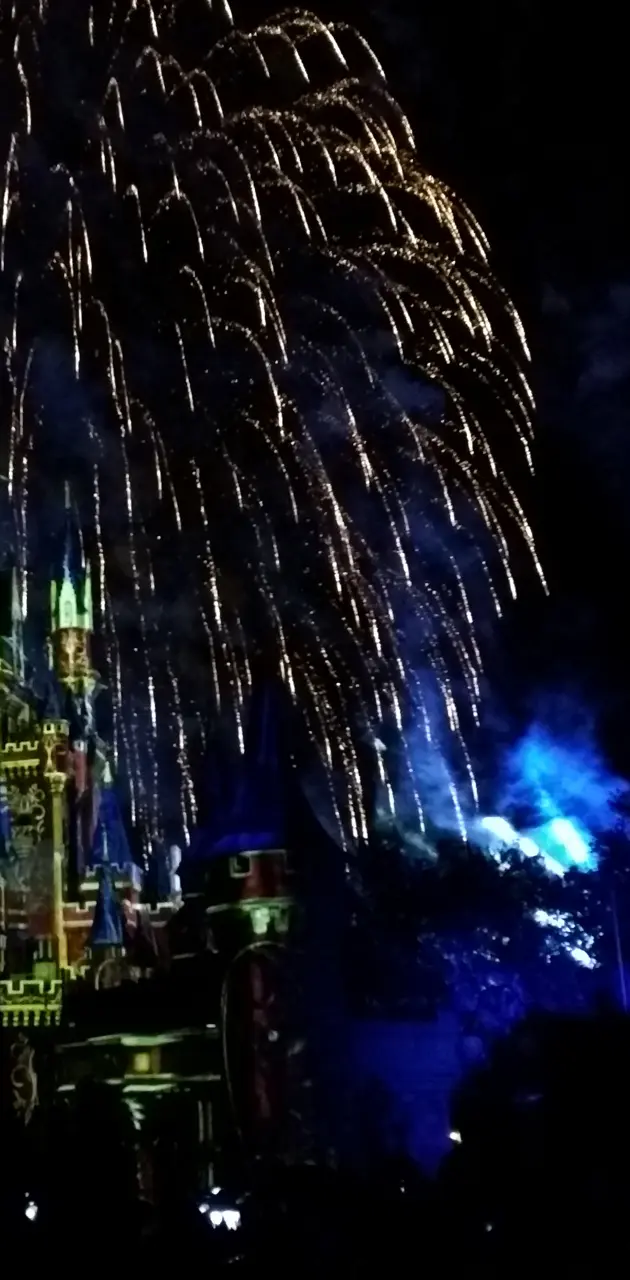 Disney  Fireworks