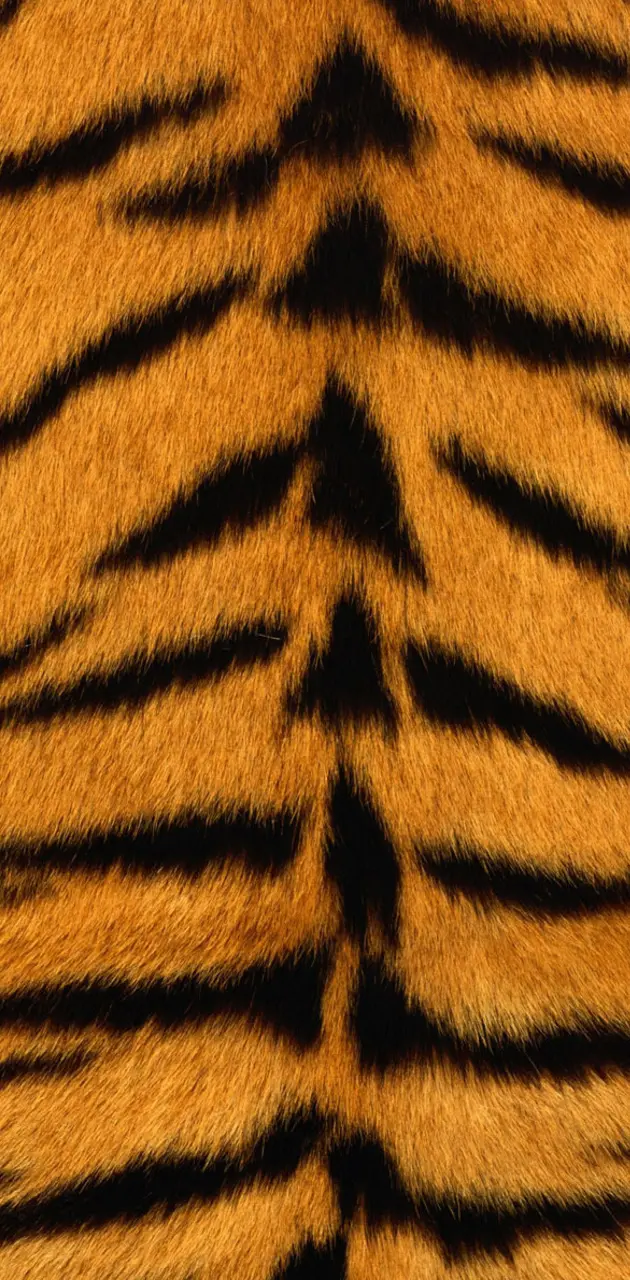 skin tiger