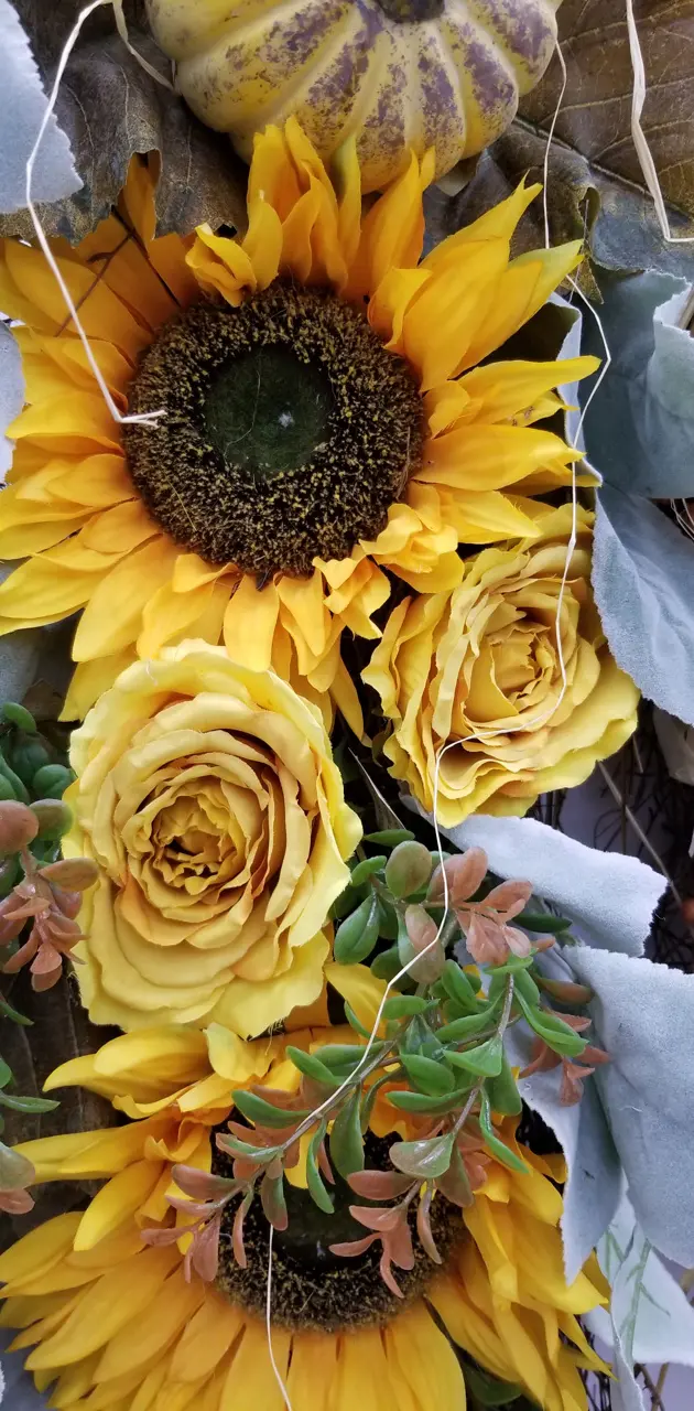 Fall Sunflowers 