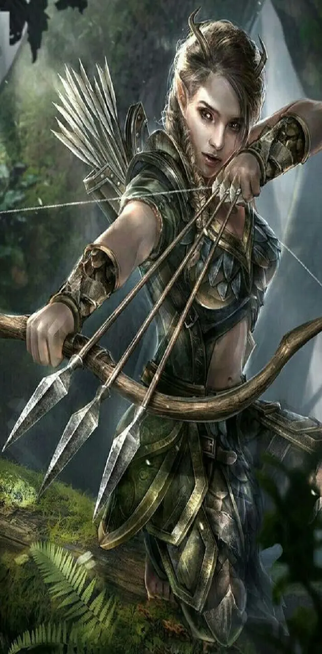 elven archer wallpaper