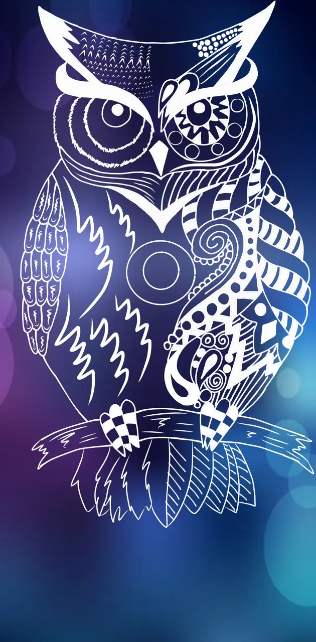 Owl Doodle 
