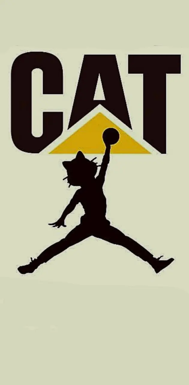 Cat air dunk