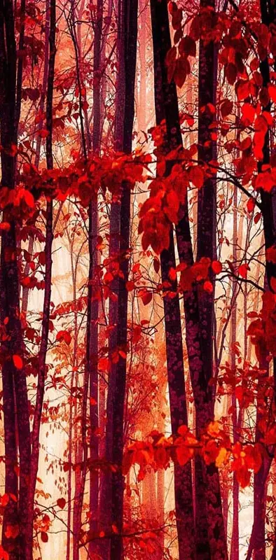 Forest Trees red