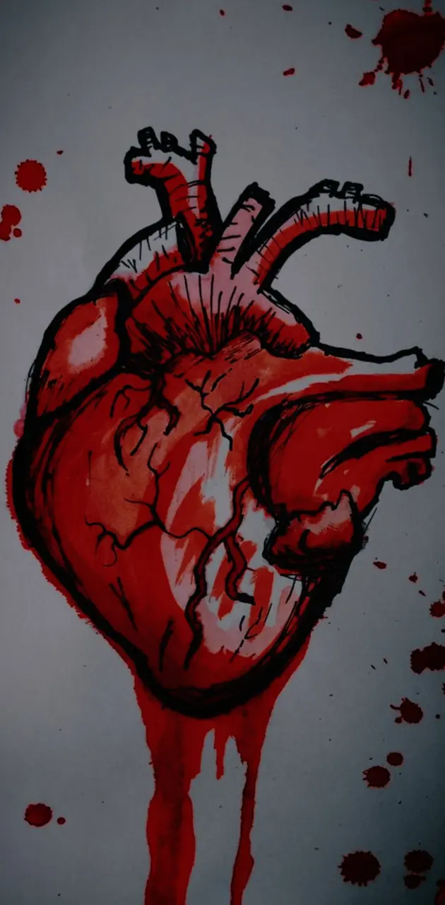 bleeding heart 