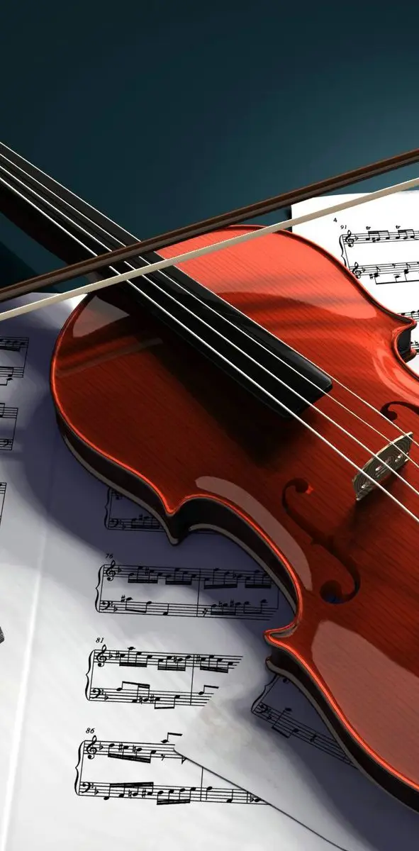 Violin E71x