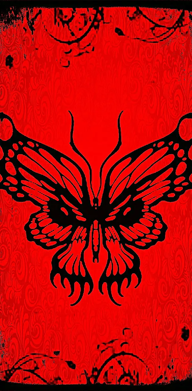 Evil Butterfly 