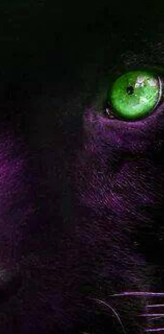 Black panther eyes