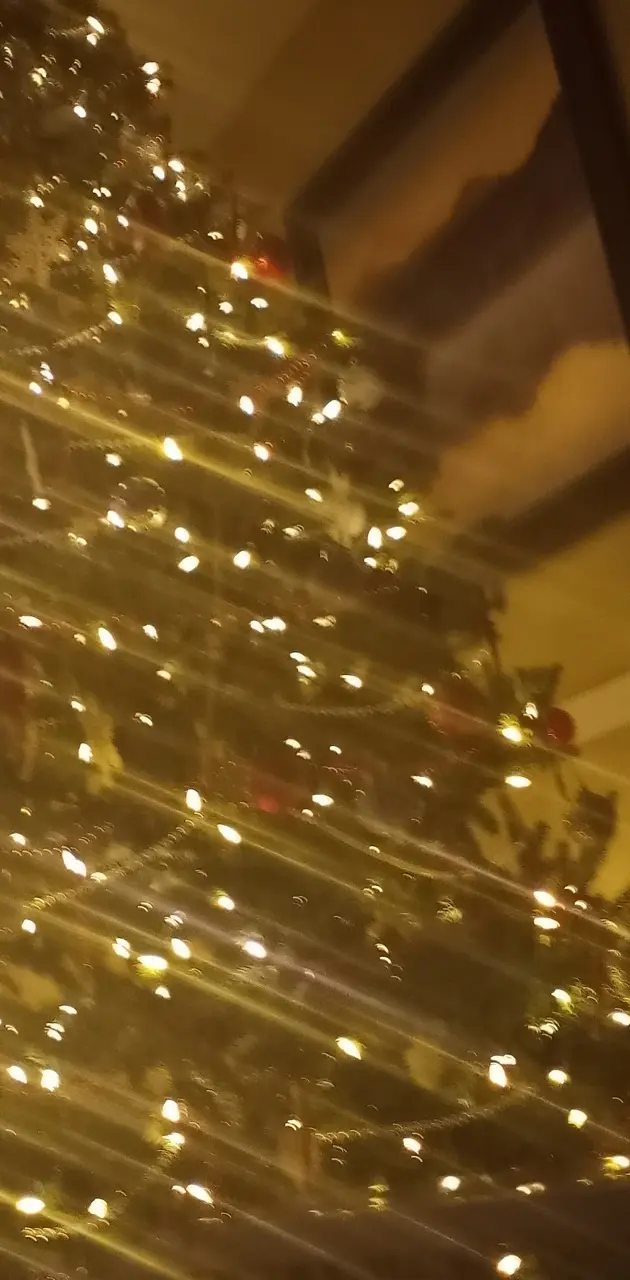 Christmas  tree 