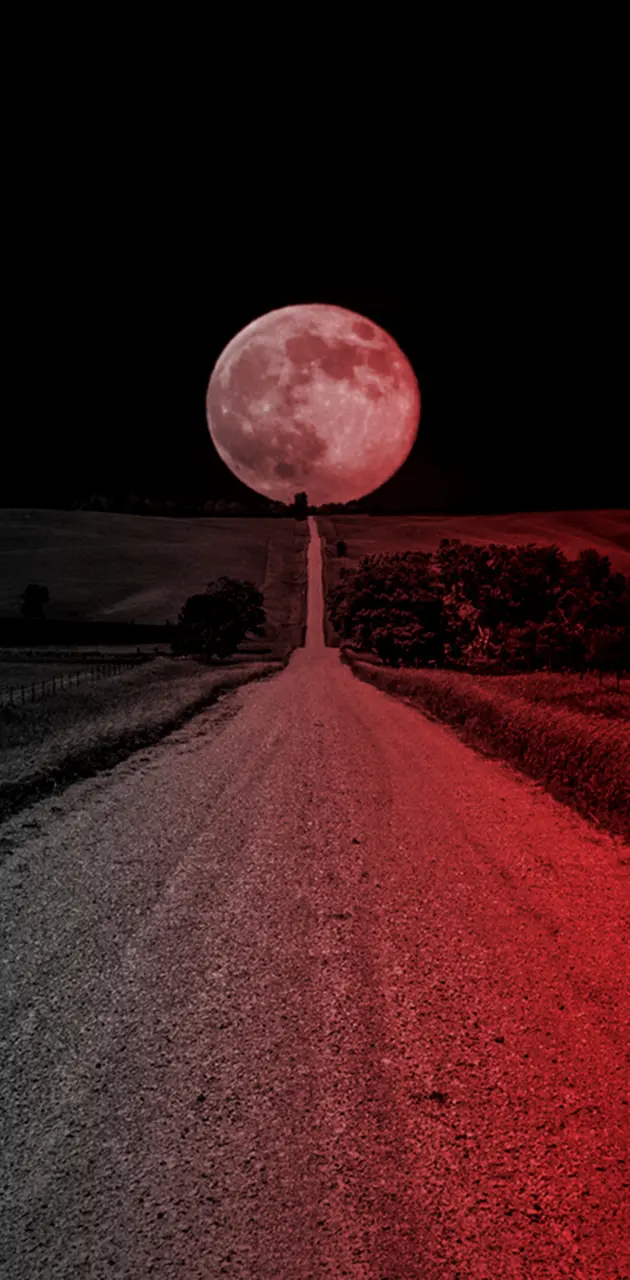 Road To Moon