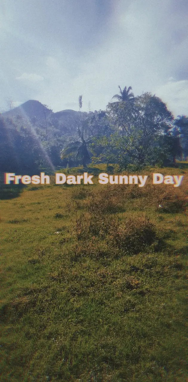 Fresh Dark Sunny Day