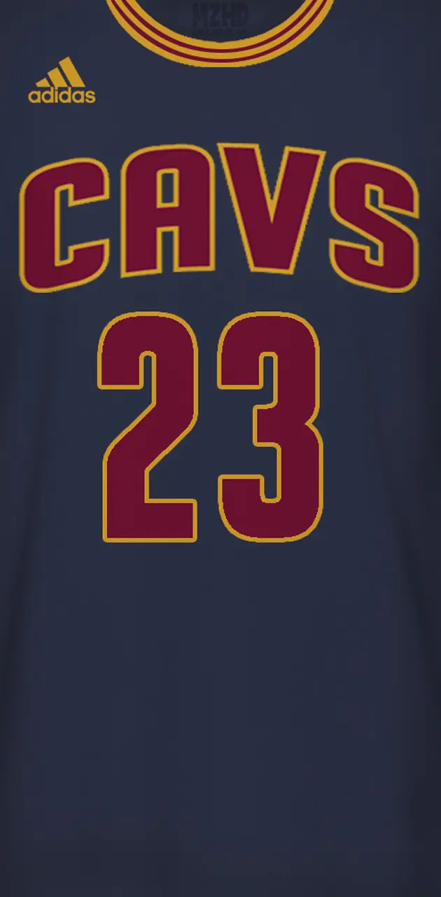 Download Lebron James in his Cleveland Cavaliers jersey Wallpaper