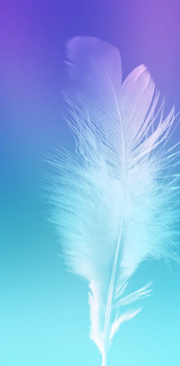Note feather